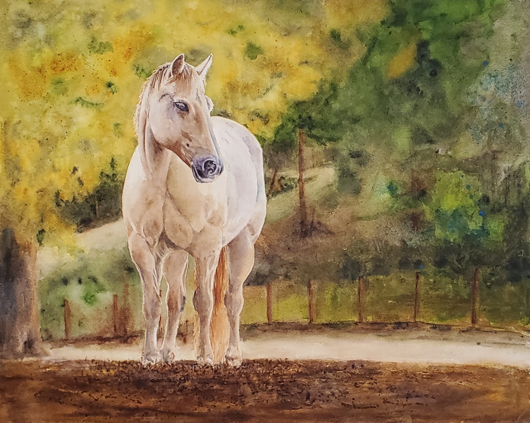 Watercolor_Retirement Watercolor_Retirement